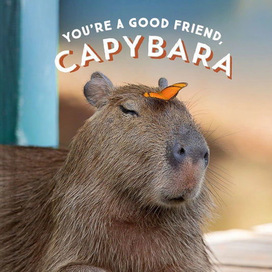 You're a Good Friend Capybara Book