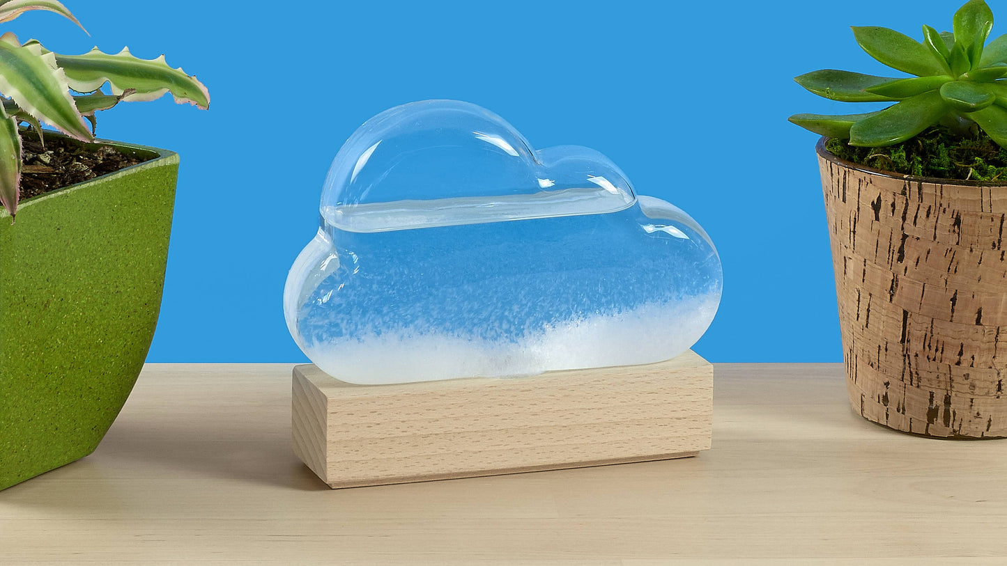 Glass cloud sculpture with water on a wooden base, flanked by two potted plants against a blue background.