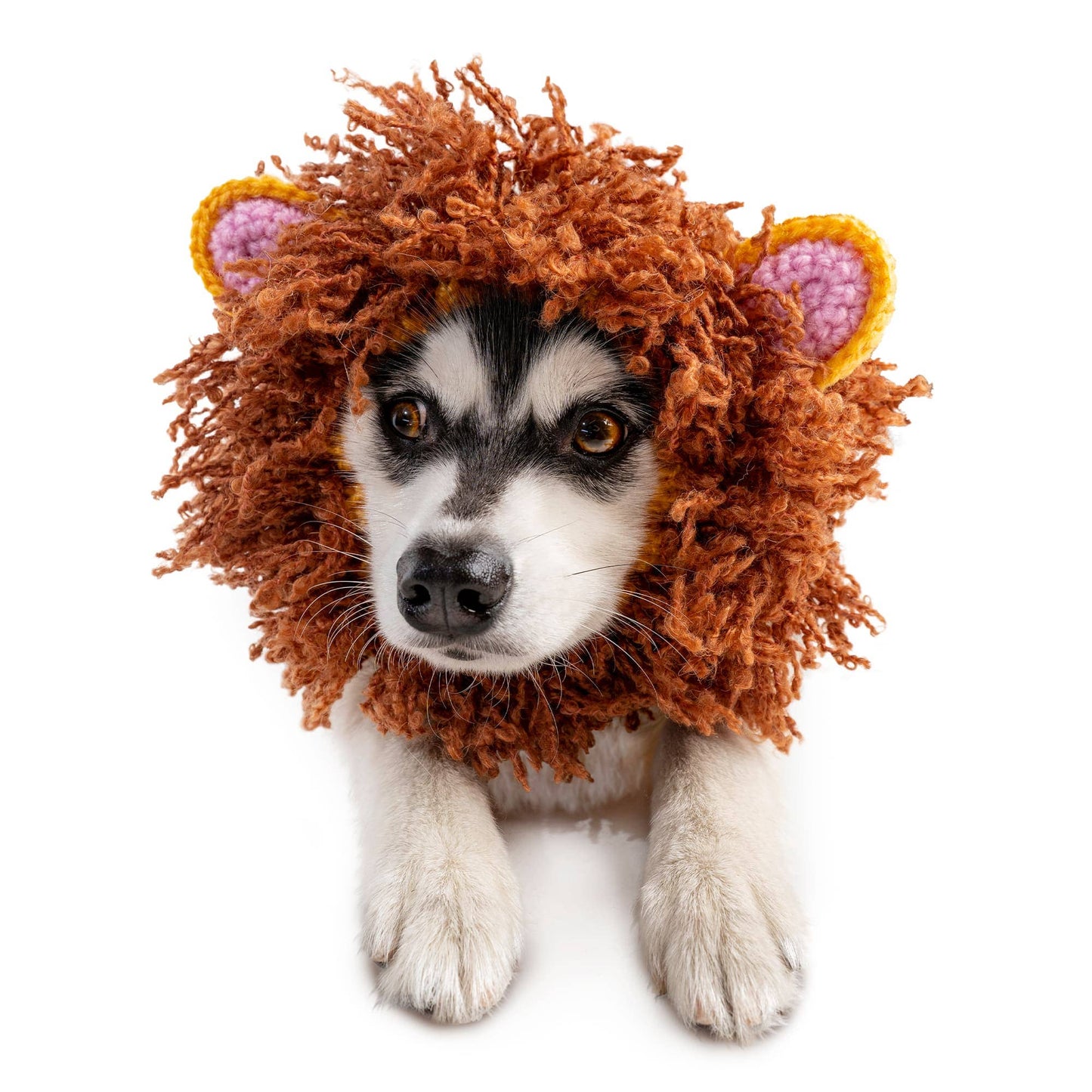 Lion Dog Snood