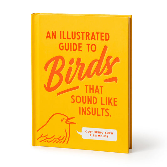 Book titled 'An Illustrated Guide to Birds That Sound Like Insults' with a yellow cover and red text.
