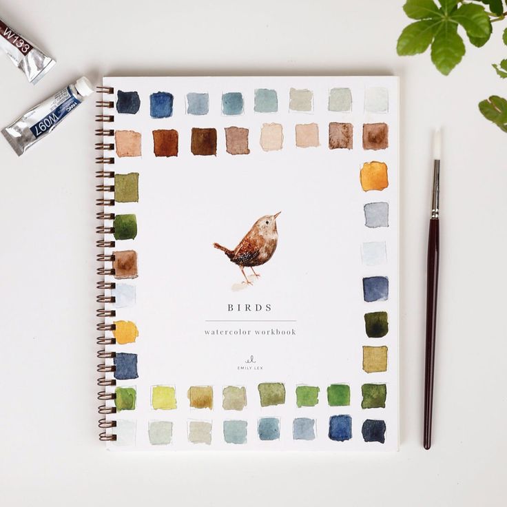 Emily Lex Watercolor Workbook (choose style)