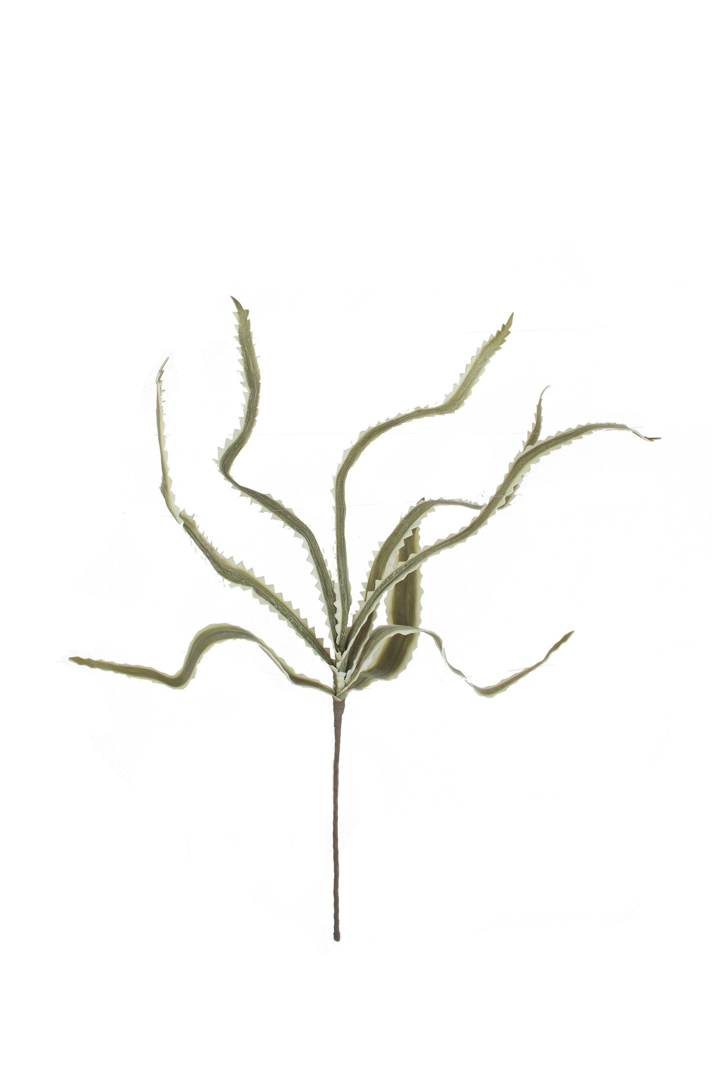Large Botanical Yucca Leaves Spray