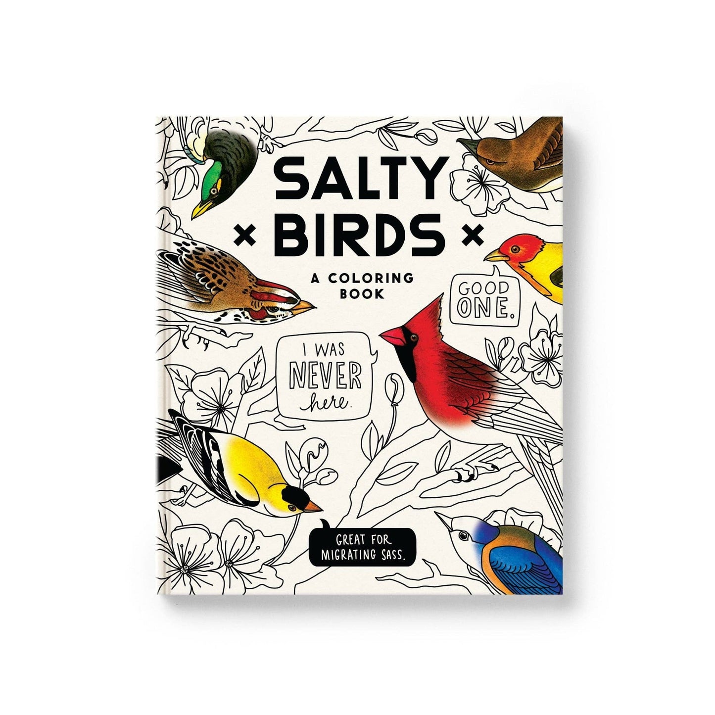 Coloring book titled 'Salty Birds' with bird illustrations on a white background