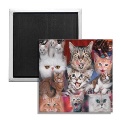 Fridge Magnet- Happy Cats