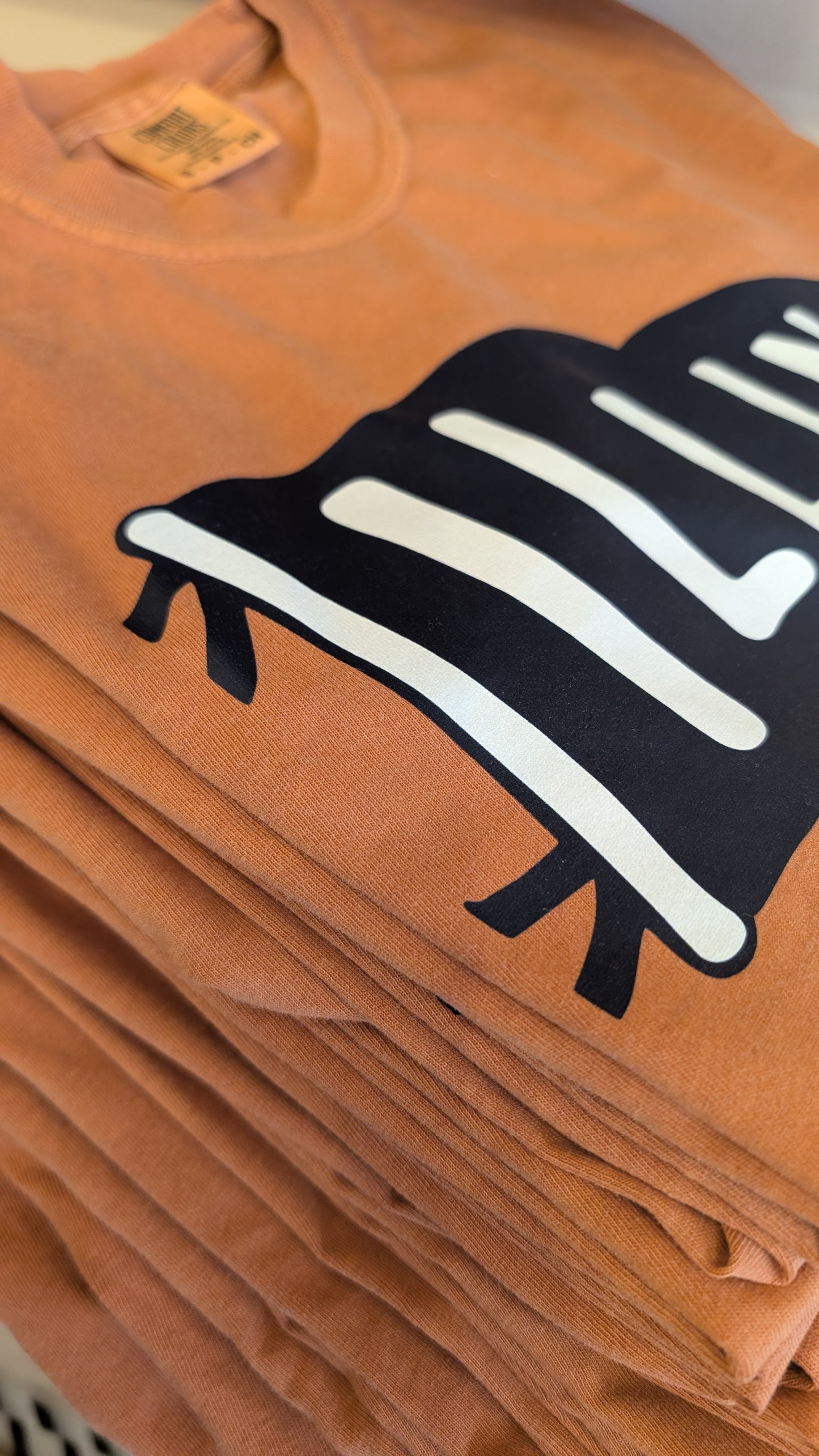 Illinois Pennant Tee