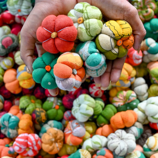 Mini Saree Pumpkin